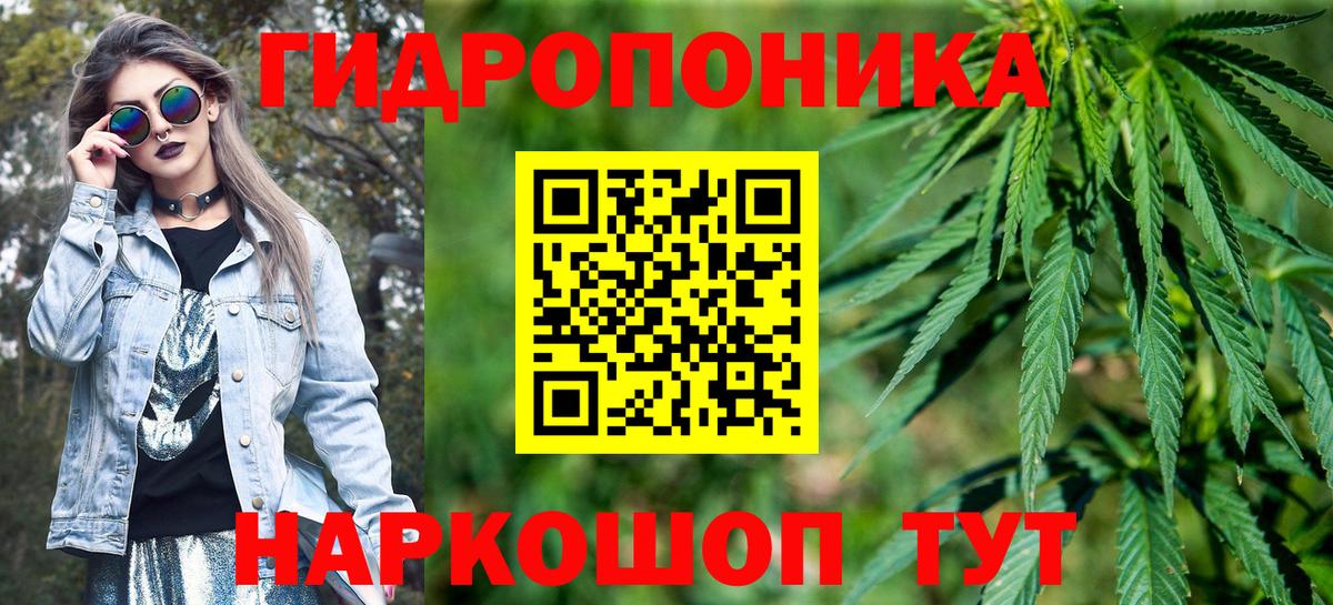 Конопля планчик  Бошки марихуана план  Вход с VPN  Марихуана индика  Ярославль  Бошки марихуана план 